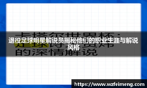 退役足球明星解说员揭秘他们的职业生涯与解说风格
